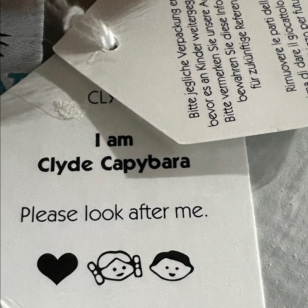 Jellycat clyde capybara (rare) - Picture 3 of 5